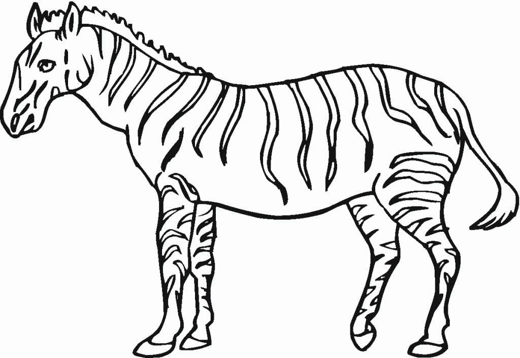 Printable Zebra Coloring Pages For Kids