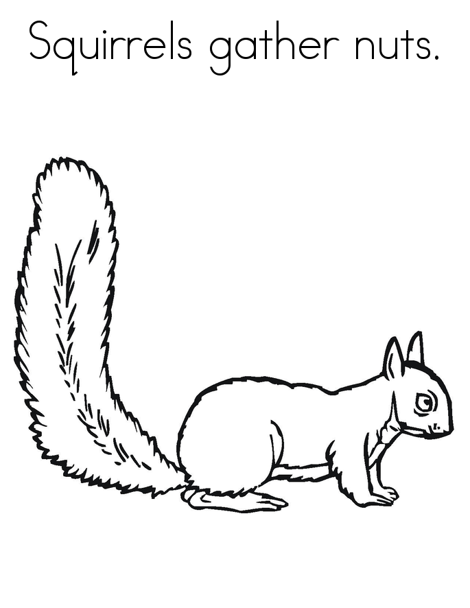 Printable for Kids Squirrel Coloring Pages