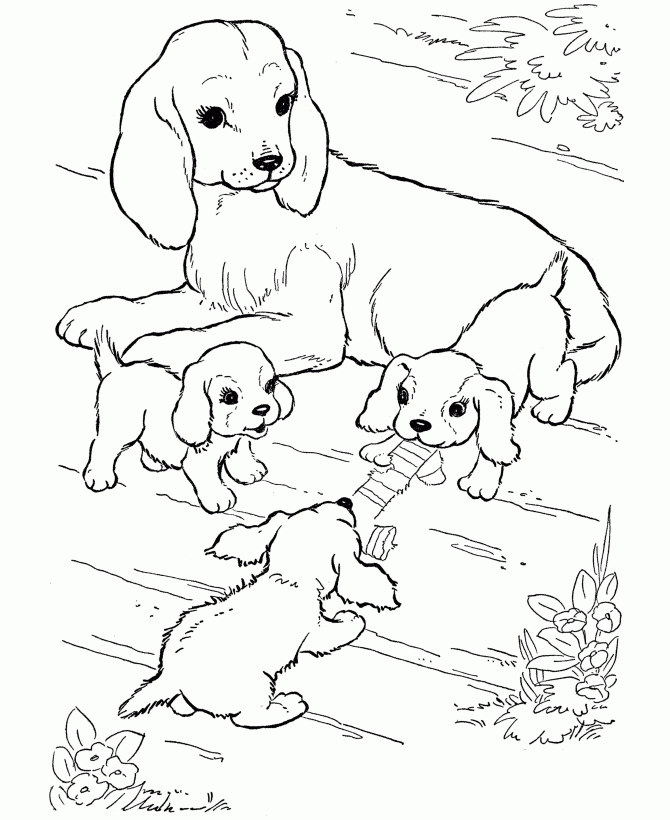 Kids Puppy Coloring Pages 8