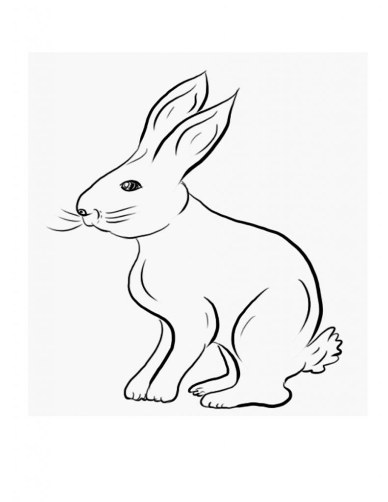 Rabbit Coloring Pages For Kids Printable