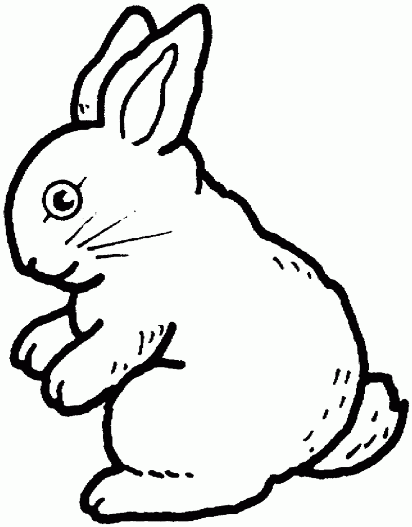 Rabbit Coloring Pages To Print