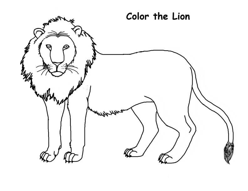 Featured image of post Lion To Print And Colour - Feel free to print and color from the best 39+ mountain lion coloring pages at getcolorings.com.