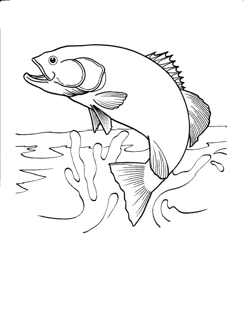 Realistic Fish Coloring Pages