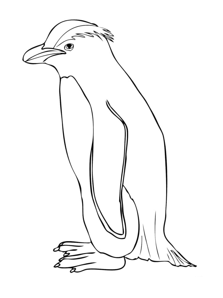 Realistic Penguin Coloring Page