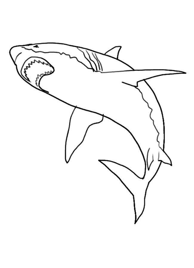 Realistic Shark Coloring Pages