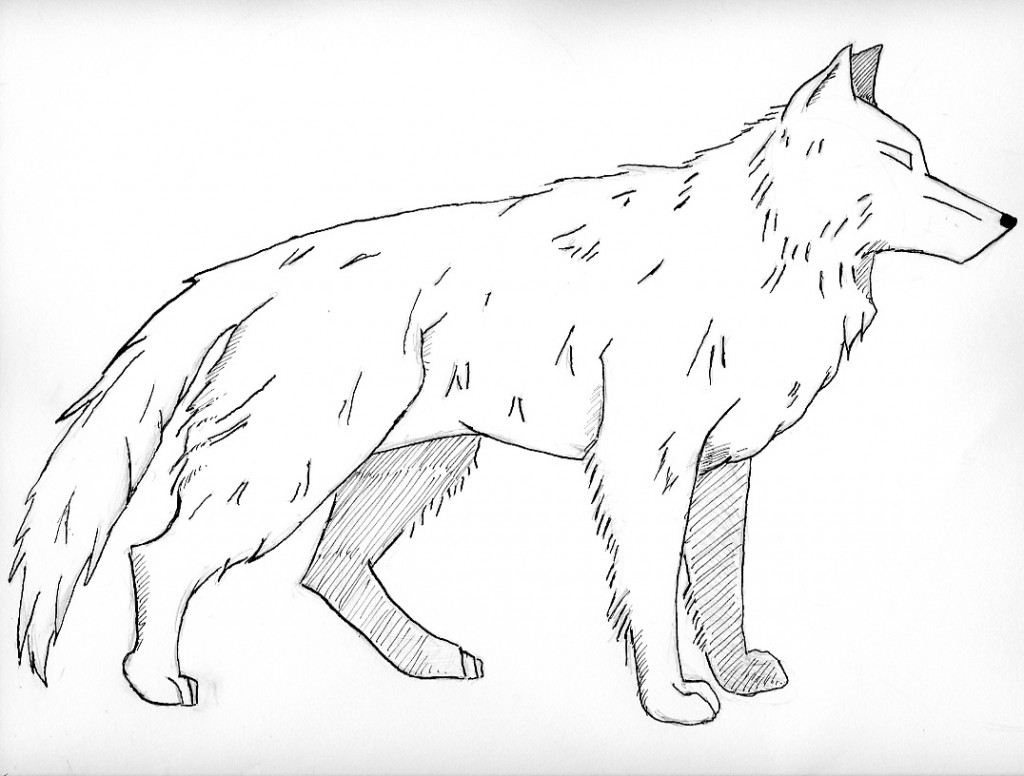 The Best Wolf Coloring Sheets | Vargas Website