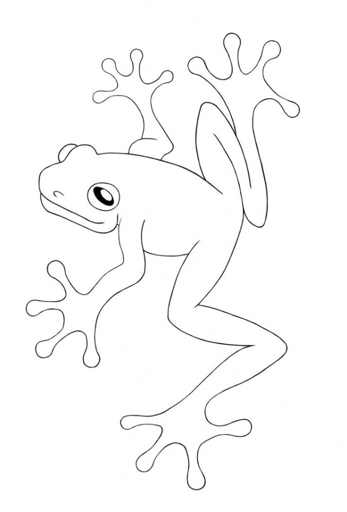Red Eyed Tree Frog Coloring Pages