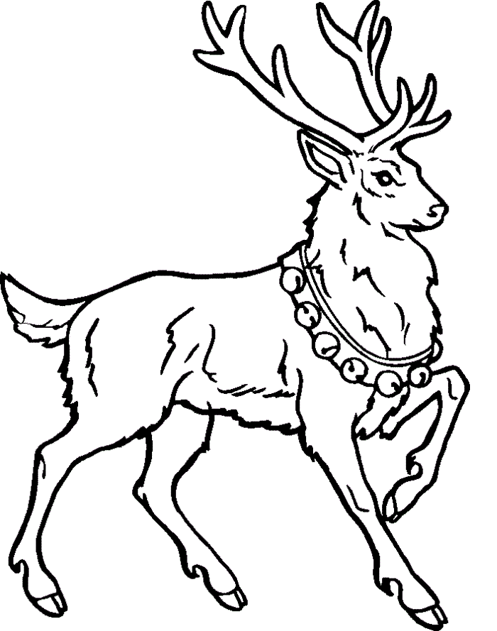 Reindeer Coloring Pages Pictures