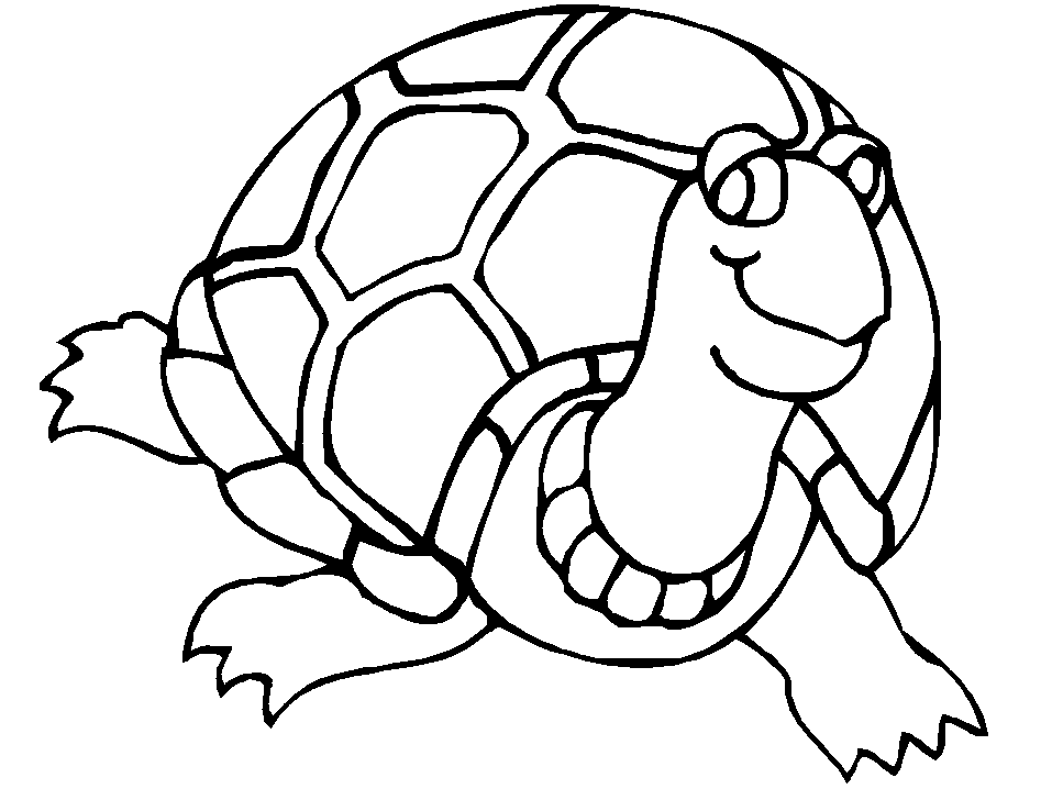 Sea Turtle Coloring Page