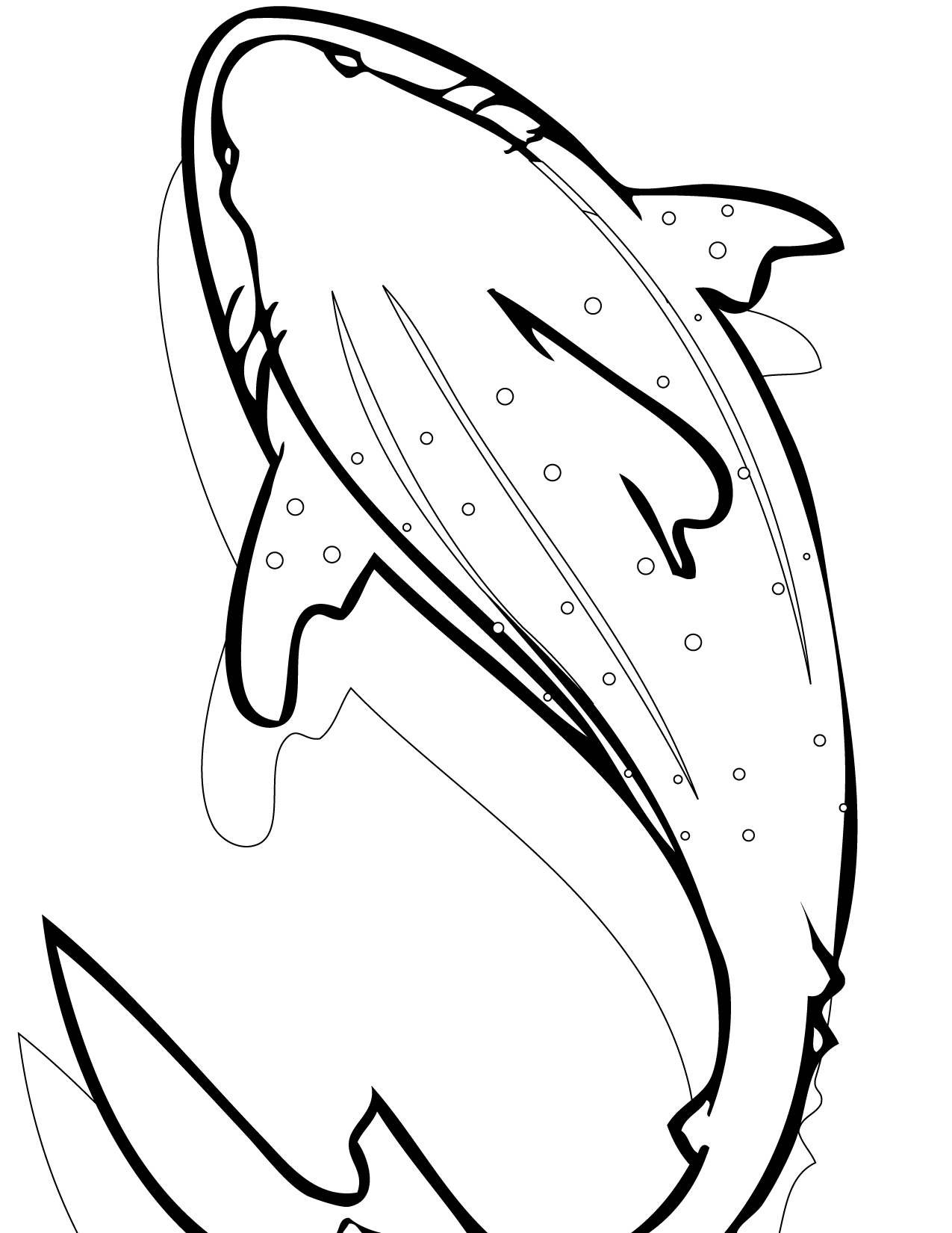 Free Printable Shark Coloring Pages For Kids