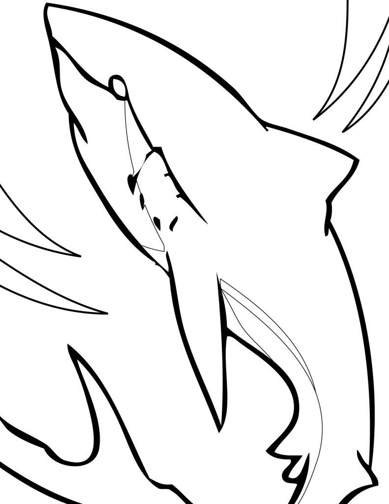 Print Coloring Pages Of Sharks 2