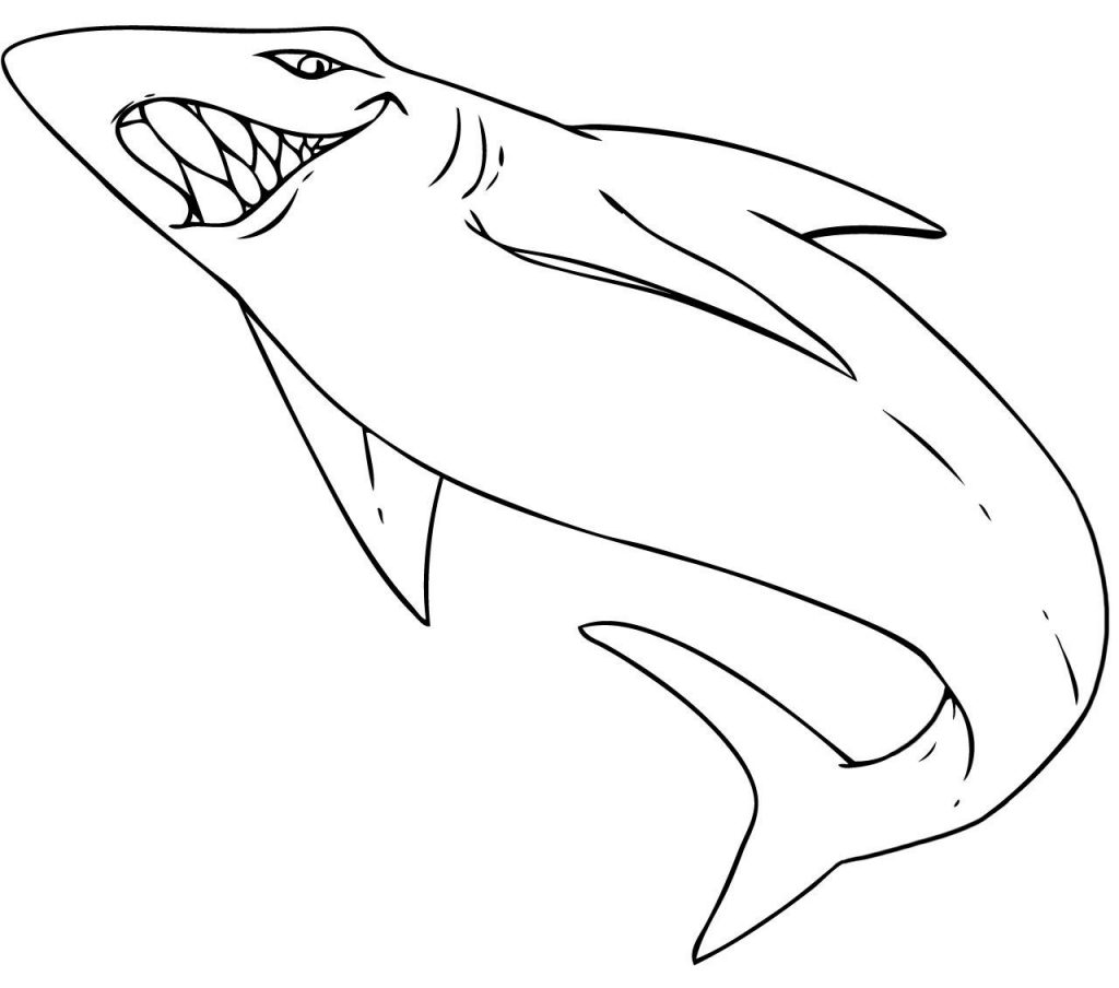 Shark Coloring Pages For Kids Printable