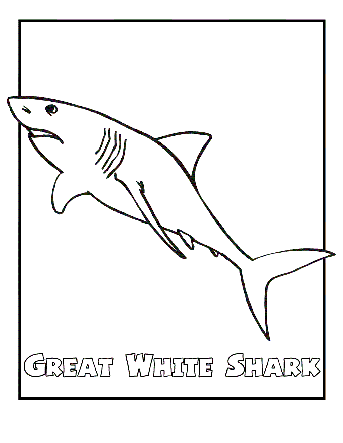 Free Printable Coloring Pages Sharks Customize And Print