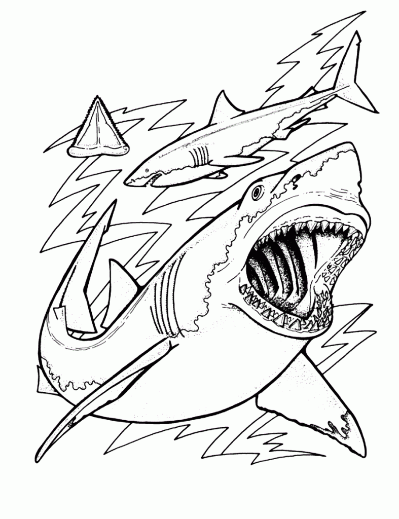 Sharks Coloring Pages