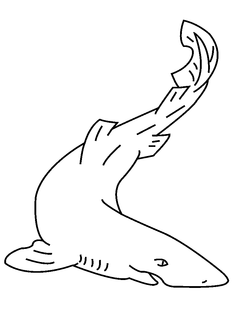 Sharks Coloring Pages For Kids
