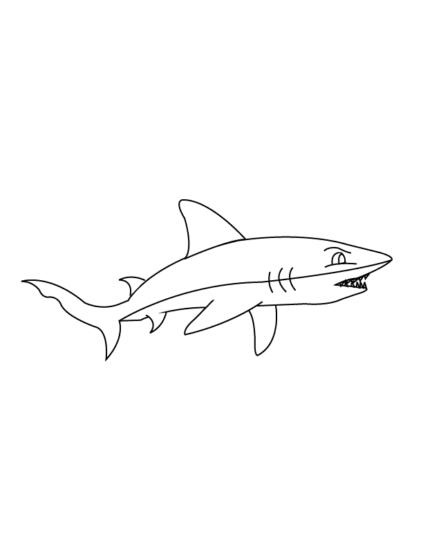 Sharks Coloring Pages To Print
