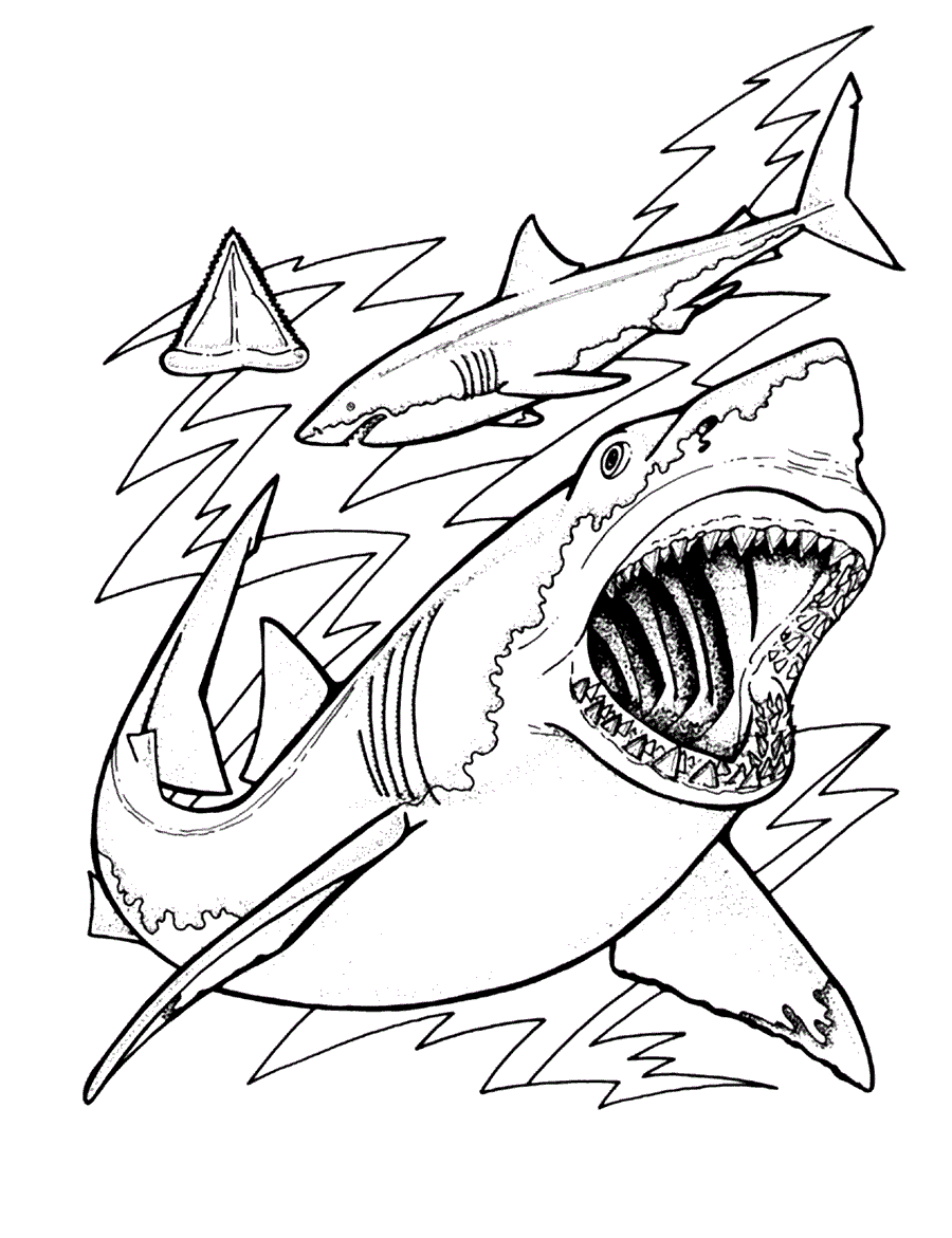 Printable Coloring Pages Sharks