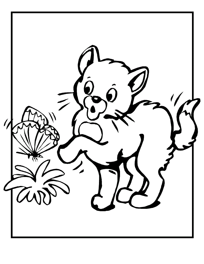 Siamese Cat Coloring Pages