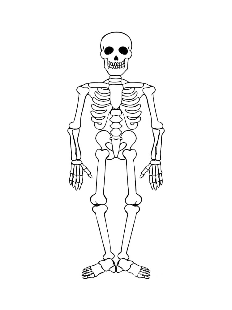 Simple Skeleton Coloring Page