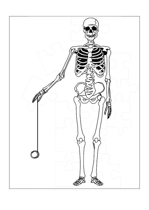 Skeleton Coloring Page Photos
