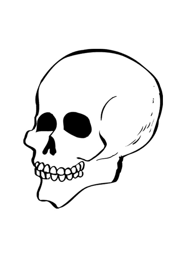 Skull Coloring Page Photos