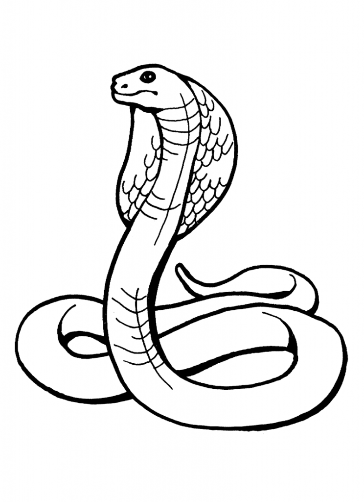 Snake Coloring Pages Printable Free 6