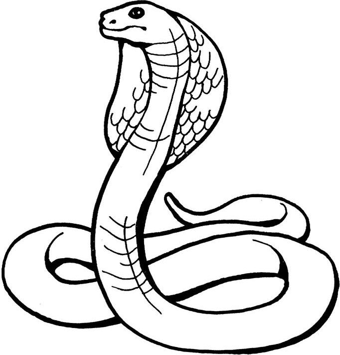 Snake Coloring Pages For Kids