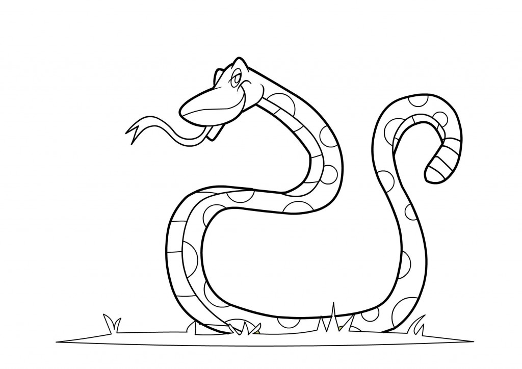 snake coloring pages