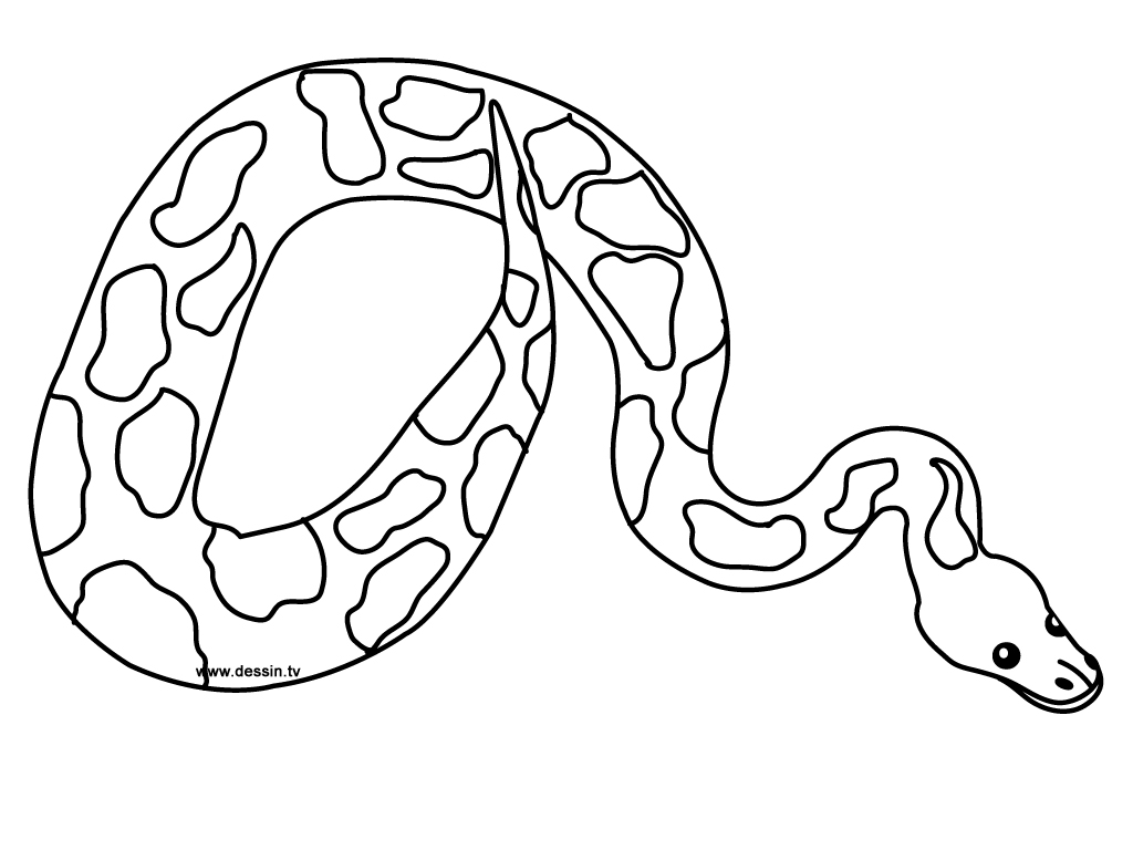 Free Coloring Pictures Of Snakes