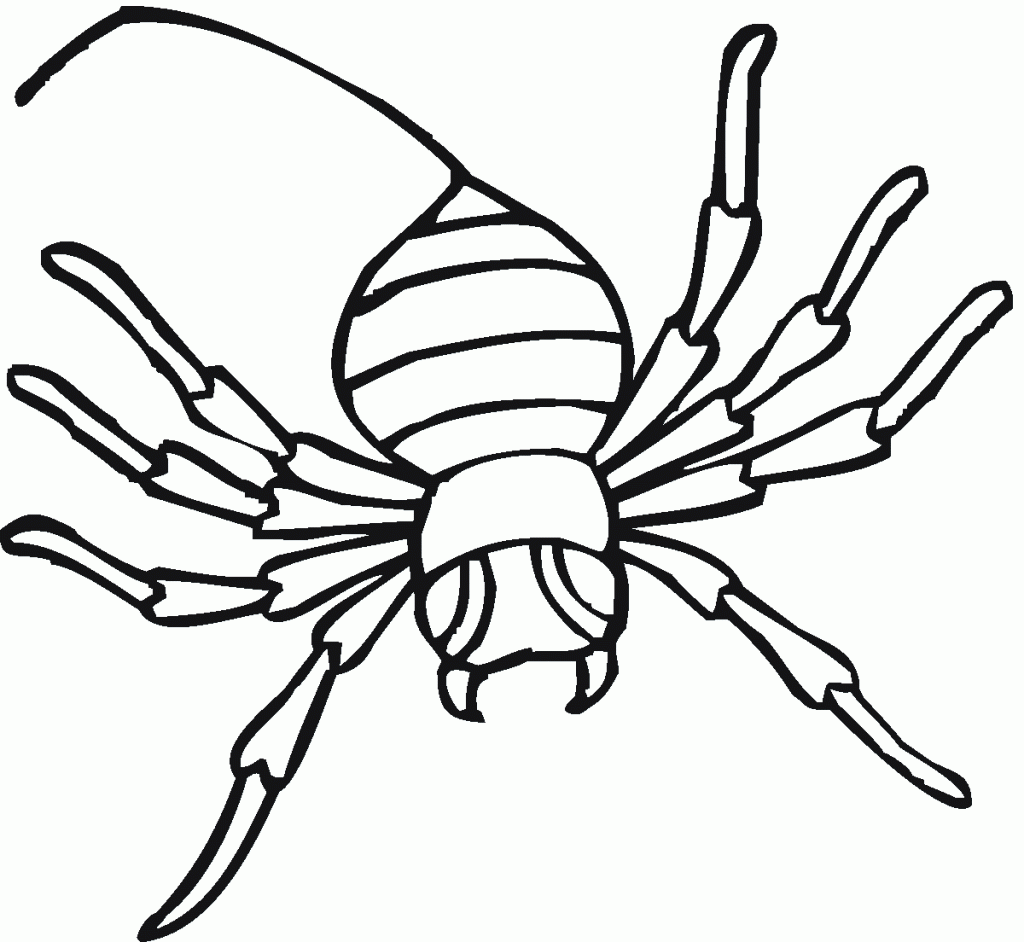 Spider Coloring Page Images