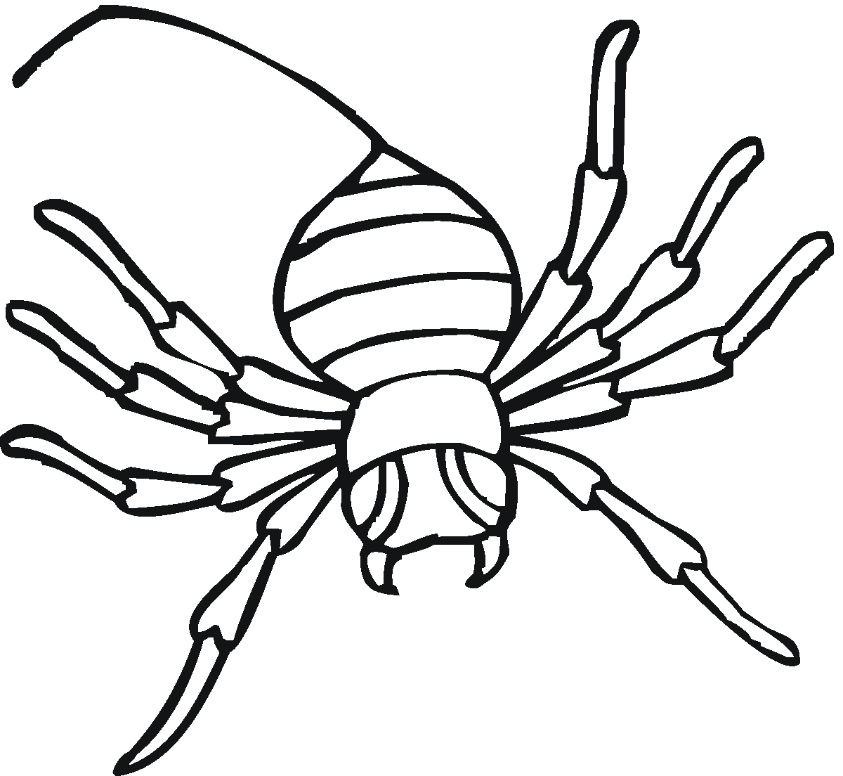 Spider Coloring Pages Printable