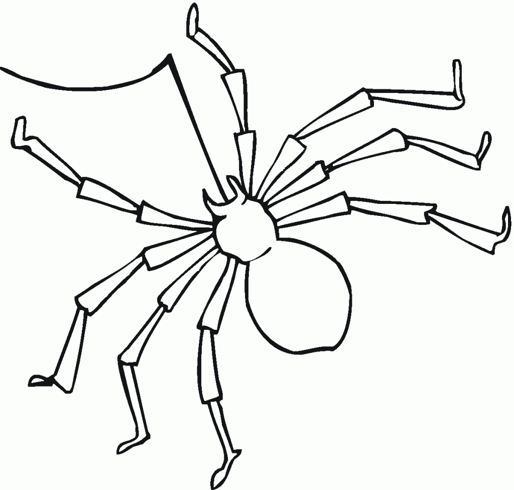 Spider Coloring Page Photos