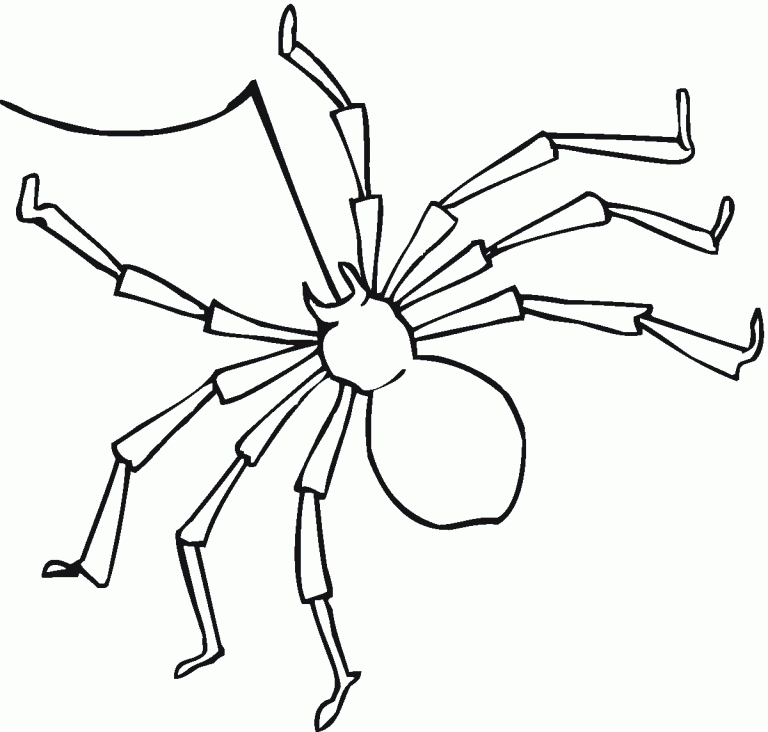 Free Printable Spider Coloring Pages For Kids