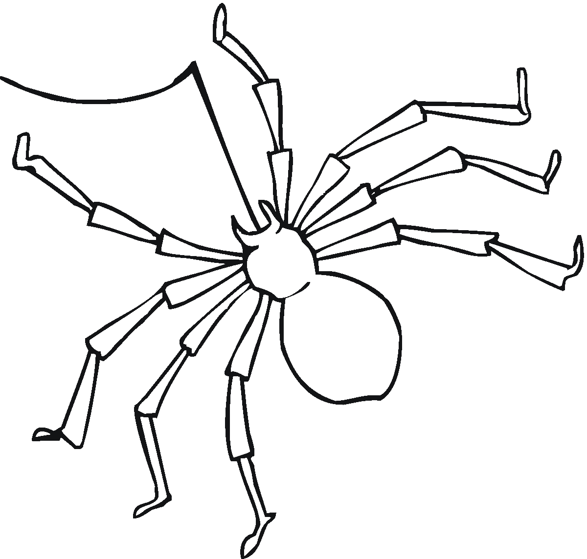 Download Free Printable Spider Coloring Pages For Kids