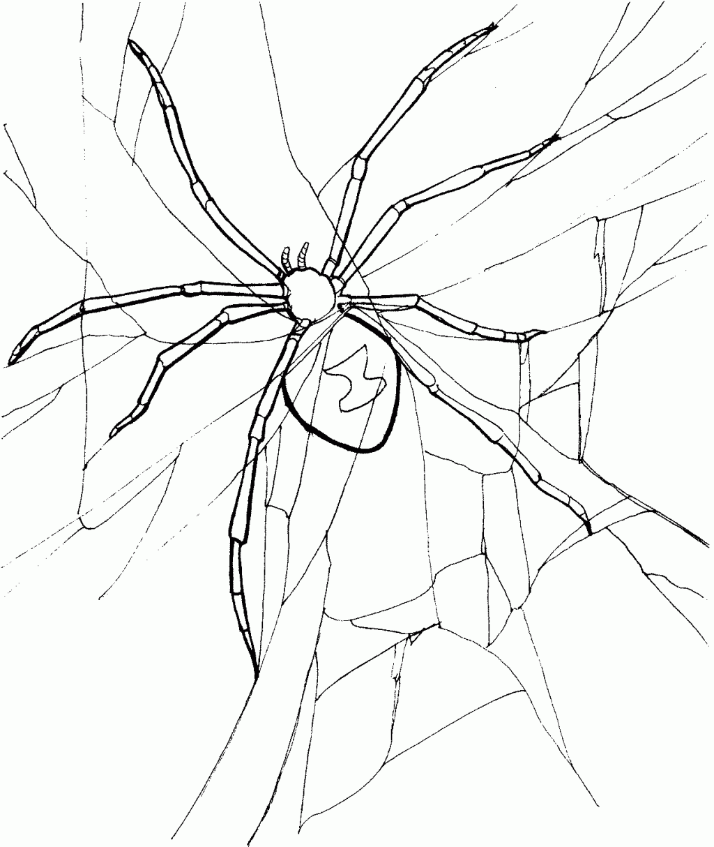 free-printable-spider-coloring-pages-for-kids