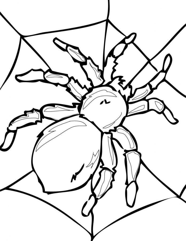 Spider Coloring Pages For Kids