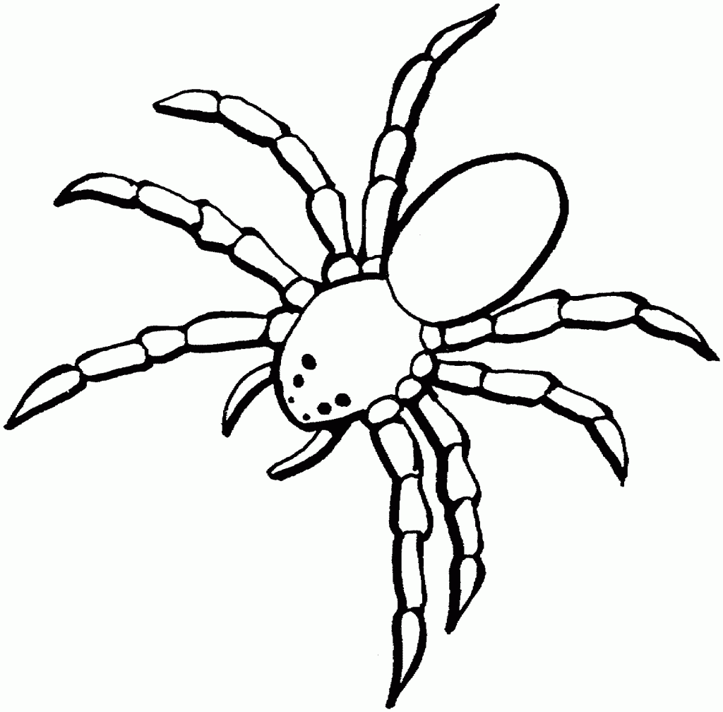 Spider Coloring Pages Kids