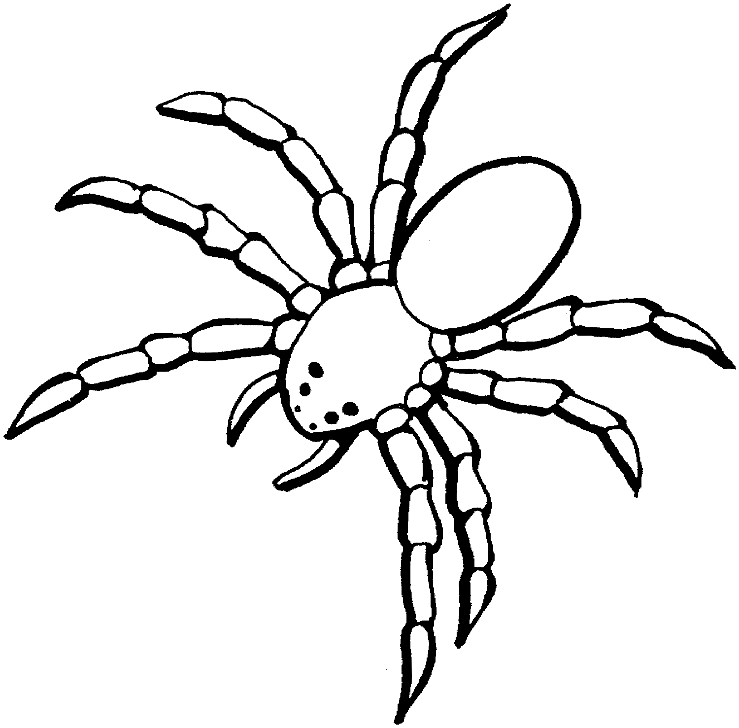 Free Printable Spider Coloring Pages For Kids