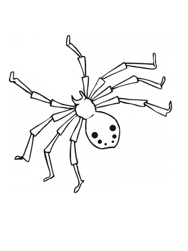 Free Printable Spider Coloring Pages For Kids