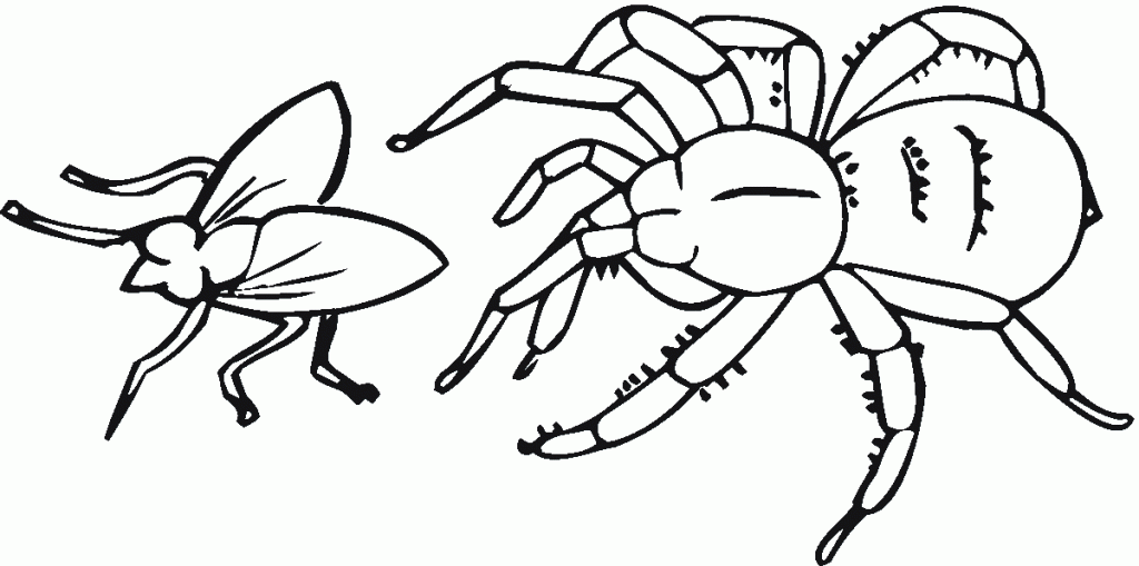 Spider Printable Coloring Pages