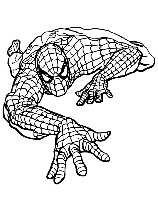 Spiderman Scaling Coloring Page