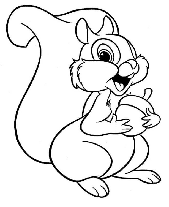 Squirrel Coloring Pages For Kids