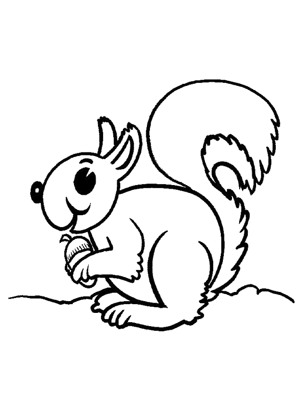 Squirrel Coloring Pages Free For Kids