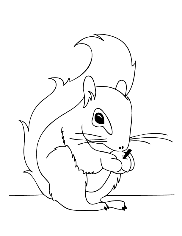 Squirrel Coloring Pages Printable