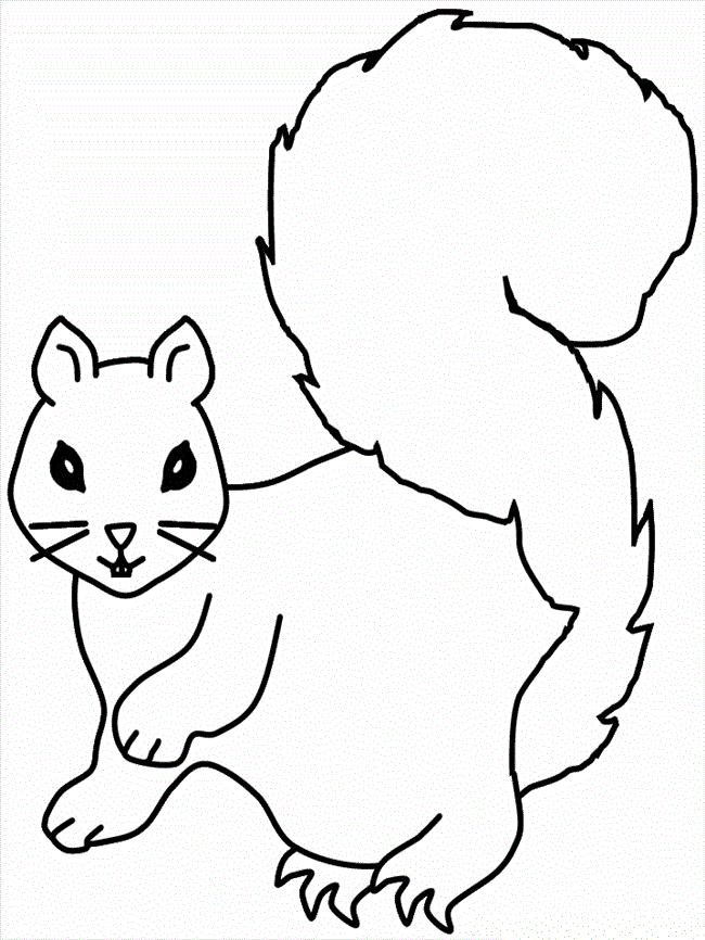 Squirrel Coloring Pages To Print