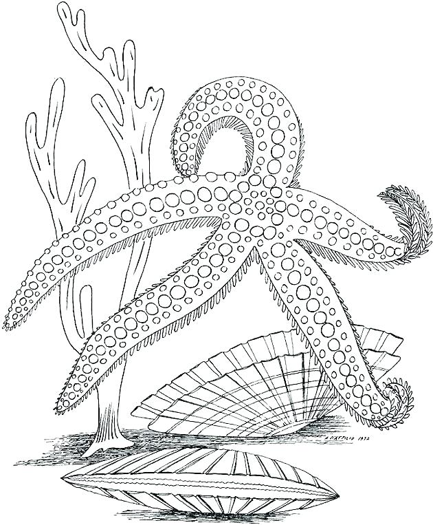 free-printable-ocean-coloring-pages-for-kids