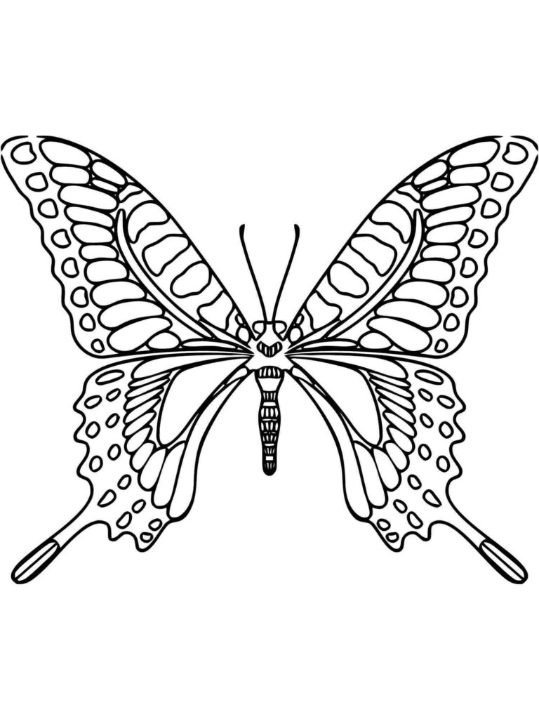 Swallowtail Butterfly Coloring Pages