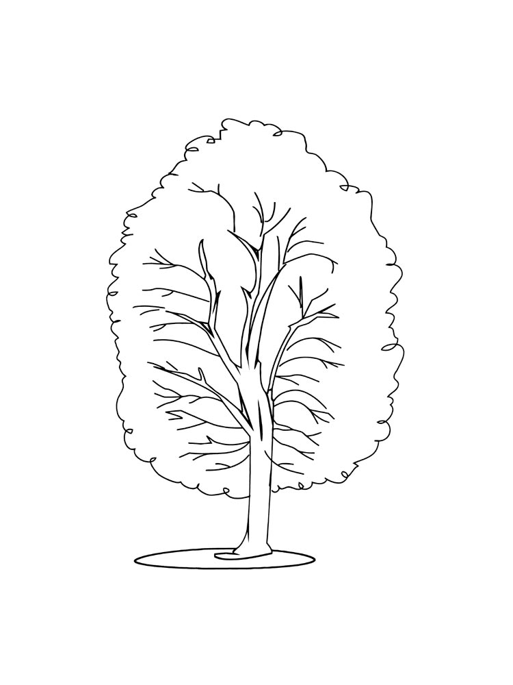 Tall Tree Coloring Page