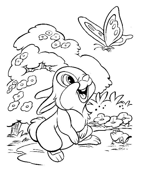 Thumper Sees A Butterfly Coloring Page