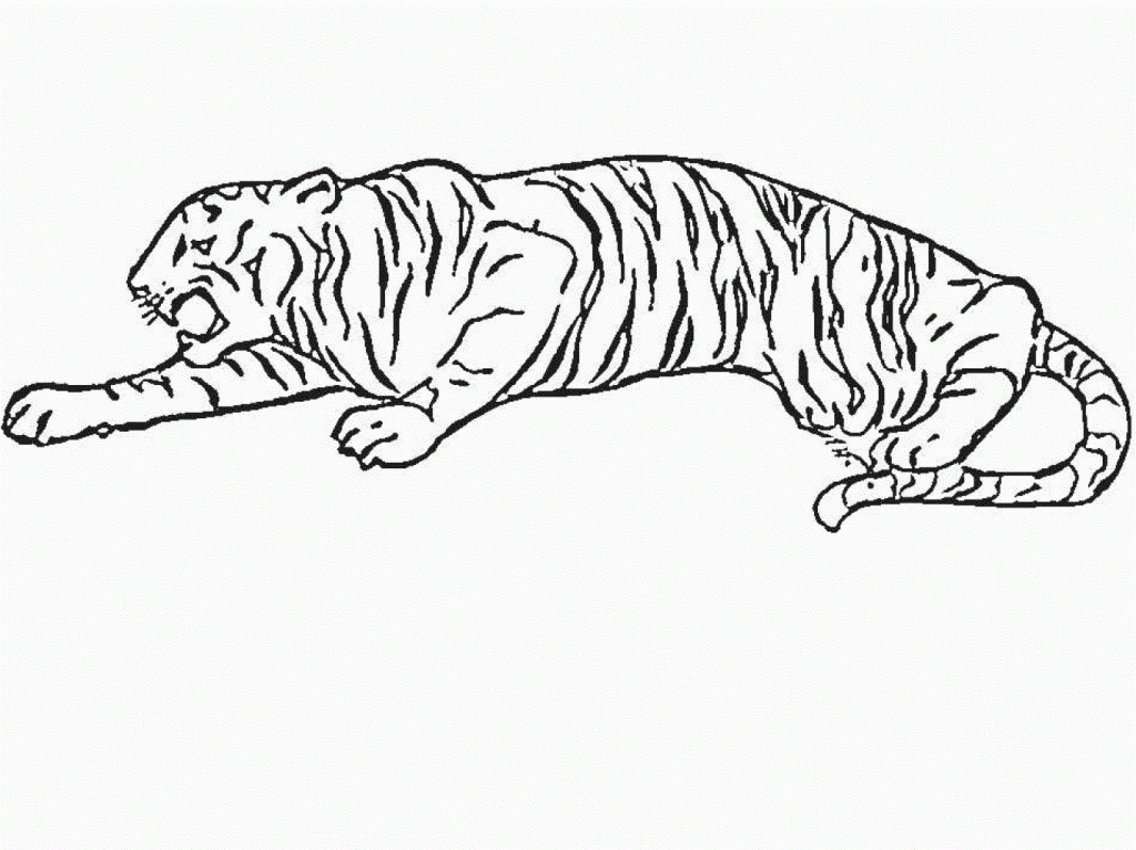 Tiger Coloring Pages To Print